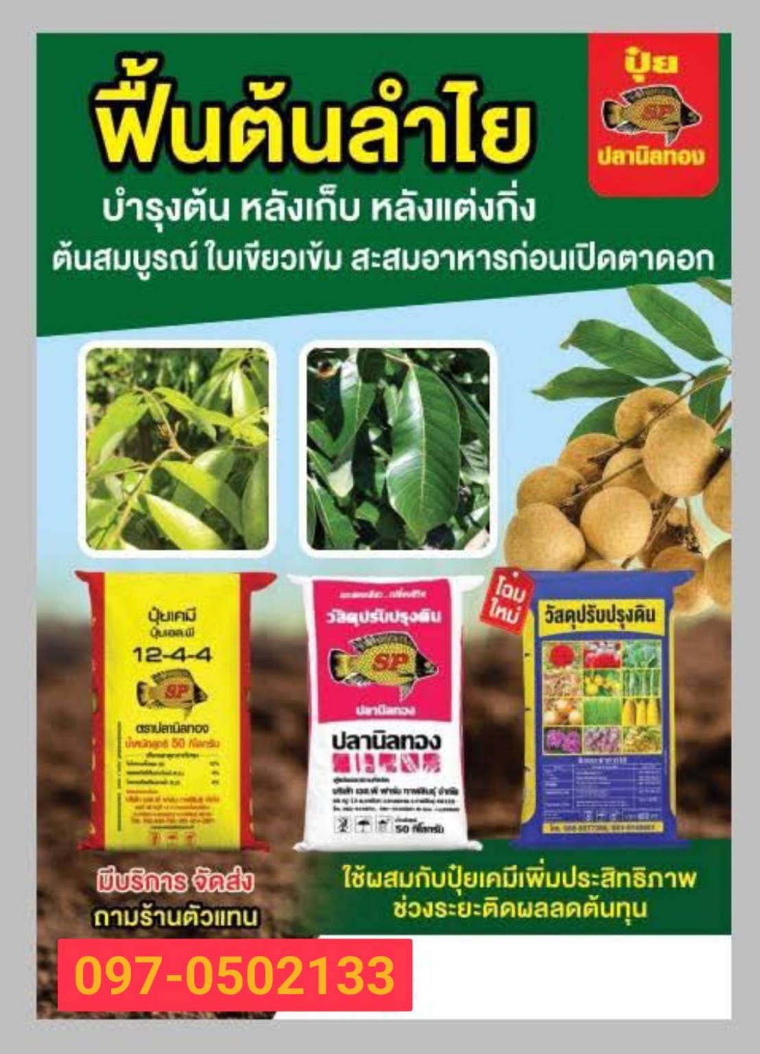 สินค้าแนะนำ